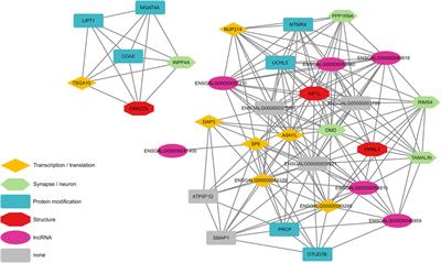 eQTL analysis of laying hens divergently selected for feather pecking identifies KLF14 as a potential key regulator for this behavioral disorder